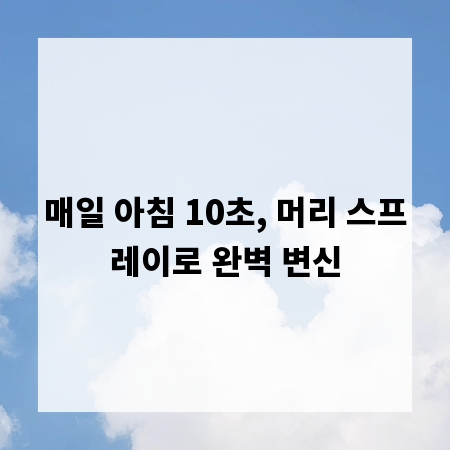 매일 아침 10초, 머리 스프레이로 완벽 변신