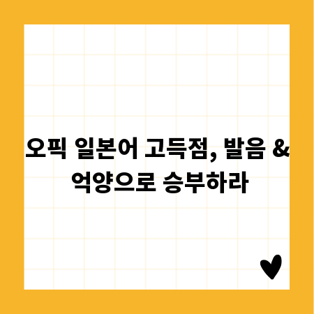 오픽 일본어 고득점, 발음 & 억양으로 승부하라