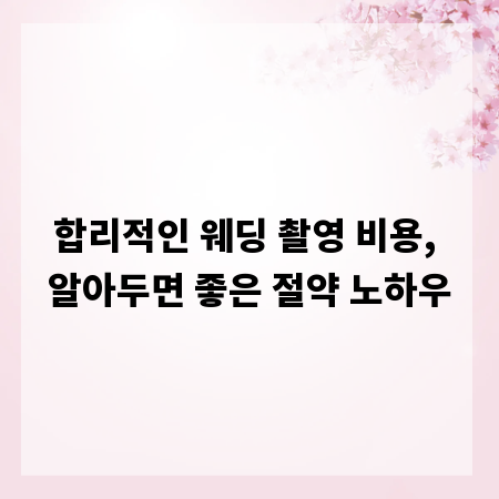 합리적인 웨딩 촬영 비용, 알아두면 좋은 절약 노하우