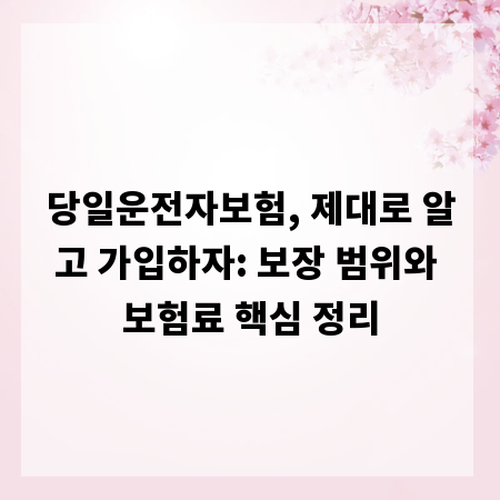 당일운전자보험, 제대로 알고 가입하자: 보장 범위와 보험료 핵심 정리