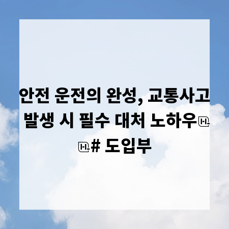 안전 운전의 완성, 교통사고 발생 시 필수 대처 노하우

# 도입부
