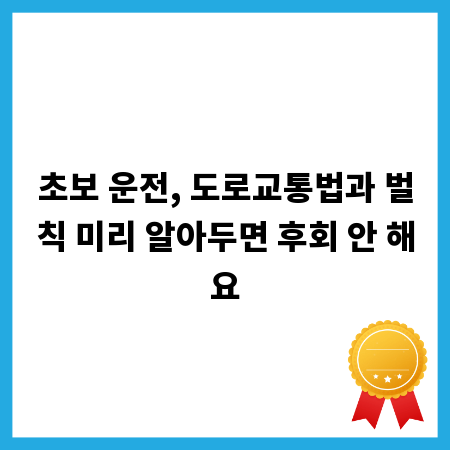 초보 운전, 도로교통법과 벌칙 미리 알아두면 후회 안 해요