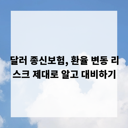 달러 종신보험, 환율 변동 리스크 제대로 알고 대비하기
