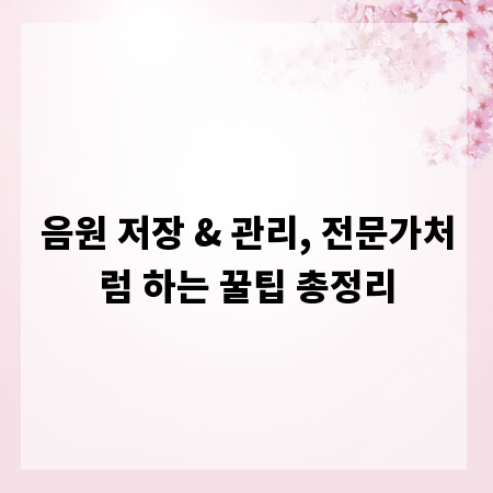음원 저장 & 관리, 전문가처럼 하는 꿀팁 총정리