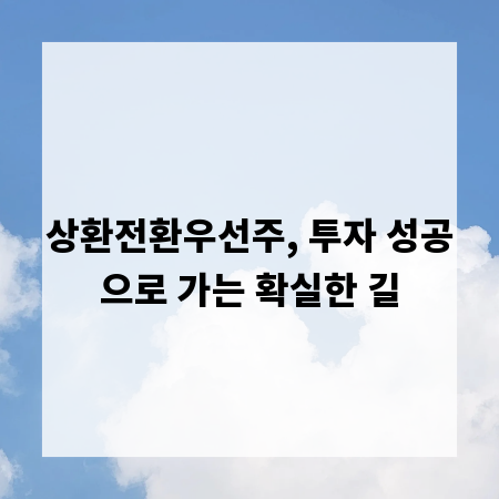 상환전환우선주, 투자 성공으로 가는 확실한 길