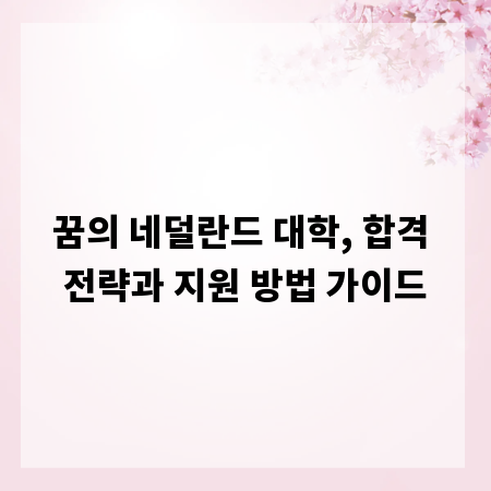 꿈의 네덜란드 대학, 합격 전략과 지원 방법 가이드
