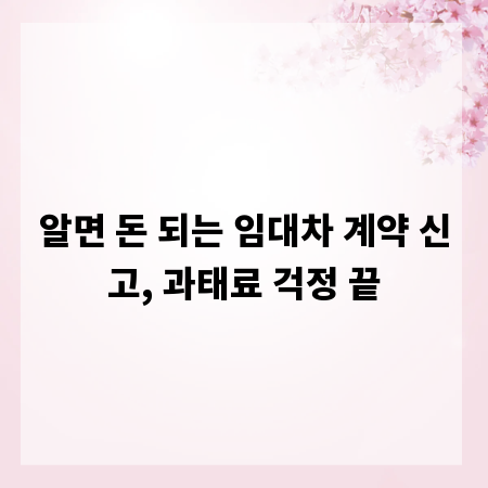 알면 돈 되는 임대차 계약 신고, 과태료 걱정 끝