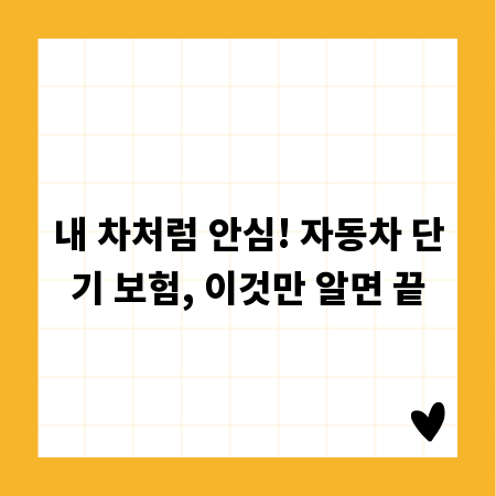 내 차처럼 안심! 자동차 단기 보험, 이것만 알면 끝
