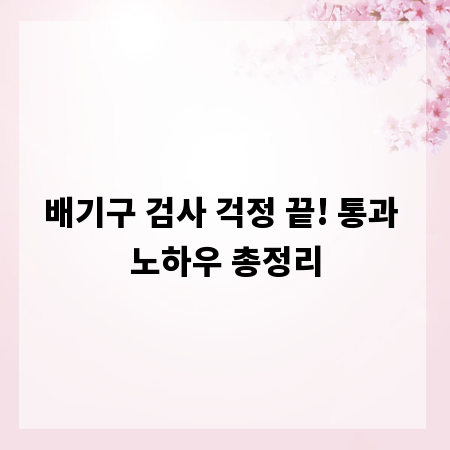 배기구 검사 걱정 끝! 통과 노하우 총정리