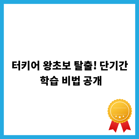 터키어 왕초보 탈출! 단기간 학습 비법 공개