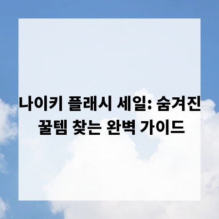 나이키 플래시 세일: 숨겨진 꿀템 찾는 완벽 가이드