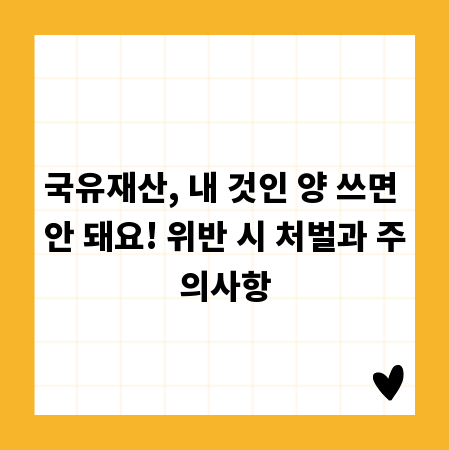 국유재산, 내 것인 양 쓰면 안 돼요! 위반 시 처벌과 주의사항