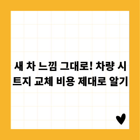 새 차 느낌 그대로! 차량 시트지 교체 비용 제대로 알기