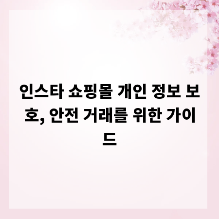 인스타 쇼핑몰 개인 정보 보호, 안전 거래를 위한 가이드