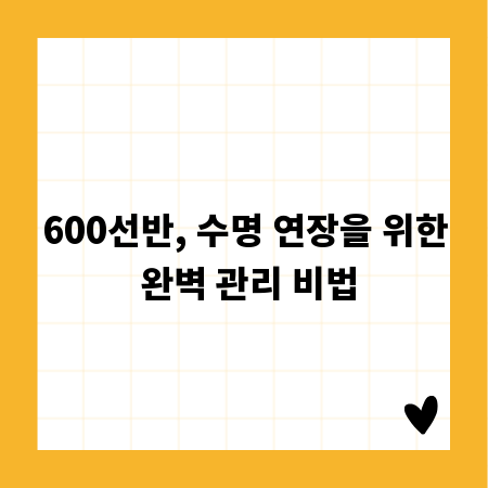 600선반, 수명 연장을 위한 완벽 관리 비법