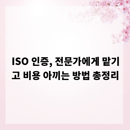 ISO 인증, 전문가에게 맡기고 비용 아끼는 방법 총정리