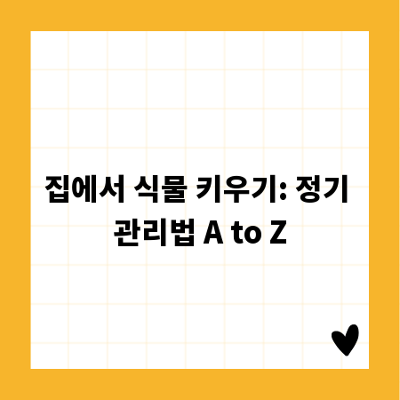 집에서 식물 키우기: 정기 관리법 A to Z