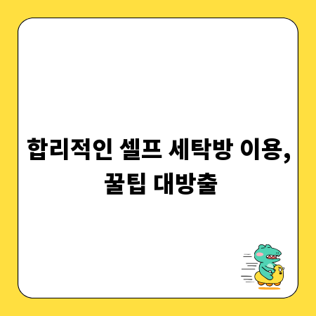 합리적인 셀프 세탁방 이용, 꿀팁 대방출