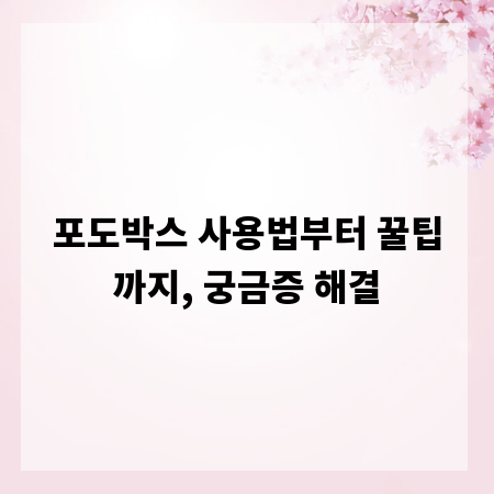 포도박스 사용법부터 꿀팁까지, 궁금증 해결