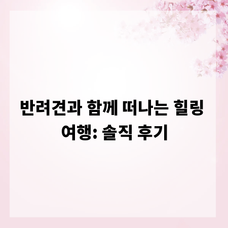 반려견과 함께 떠나는 힐링 여행: 솔직 후기