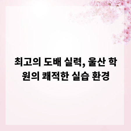 최고의 도배 실력, 울산 학원의 쾌적한 실습 환경