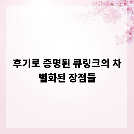 후기로 증명된 큐링크의 차별화된 장점들