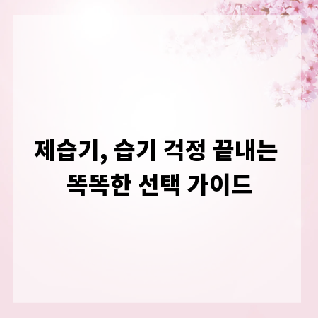 제습기, 습기 걱정 끝내는 똑똑한 선택 가이드