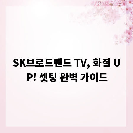 SK브로드밴드 TV, 화질 UP! 셋팅 완벽 가이드