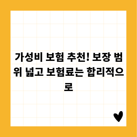 가성비 보험 추천! 보장 범위 넓고 보험료는 합리적으로