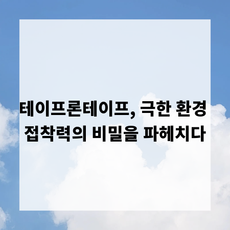 테이프론테이프, 극한 환경 접착력의 비밀을 파헤치다