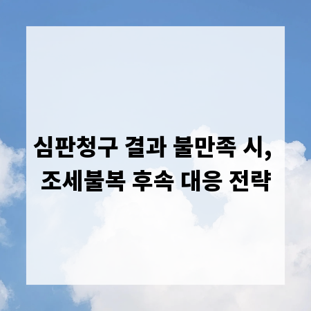 심판청구 결과 불만족 시, 조세불복 후속 대응 전략