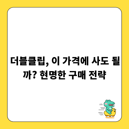 더블클립, 이 가격에 사도 될까? 현명한 구매 전략