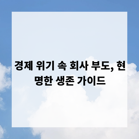 경제 위기 속 회사 부도, 현명한 생존 가이드