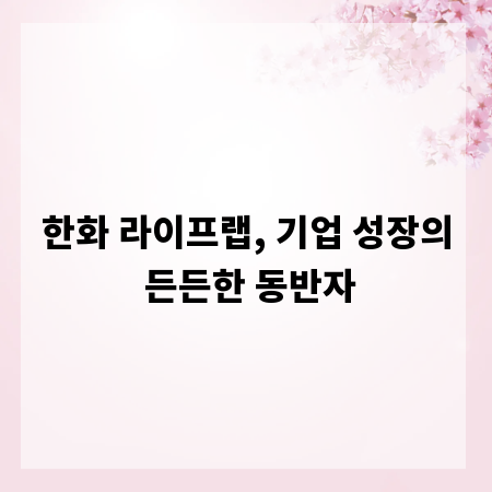 한화 라이프랩, 기업 성장의 든든한 동반자