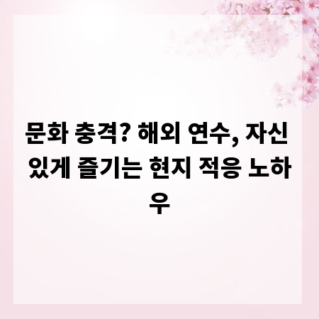 문화 충격? 해외 연수, 자신 있게 즐기는 현지 적응 노하우