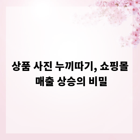 상품 사진 누끼따기, 쇼핑몰 매출 상승의 비밀