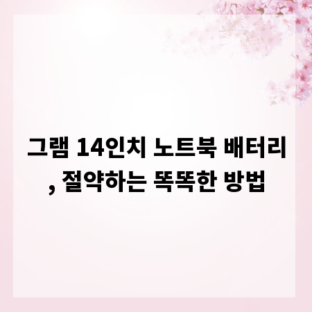 그램 14인치 노트북 배터리, 절약하는 똑똑한 방법