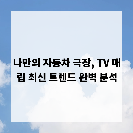나만의 자동차 극장, TV 매립 최신 트렌드 완벽 분석