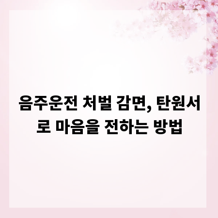 음주운전 처벌 감면, 탄원서로 마음을 전하는 방법