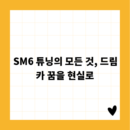 SM6 튜닝의 모든 것, 드림카 꿈을 현실로