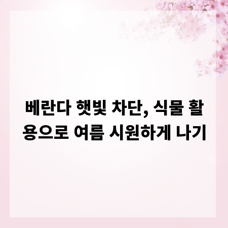 베란다 햇빛 차단, 식물 활용으로 여름 시원하게 나기