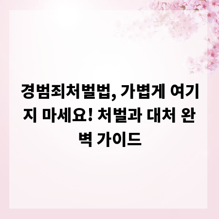 경범죄처벌법, 가볍게 여기지 마세요! 처벌과 대처 완벽 가이드