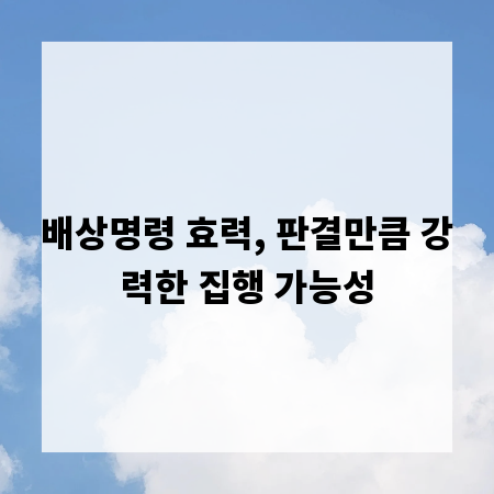 배상명령 효력, 판결만큼 강력한 집행 가능성