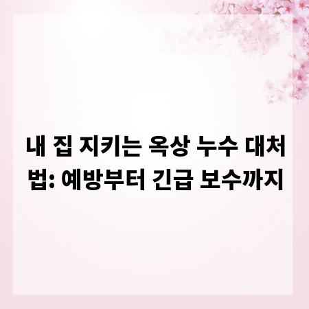 내 집 지키는 옥상 누수 대처법: 예방부터 긴급 보수까지