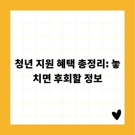 헷갈리는 차선, 종류별 의미와 운전 시 주의점