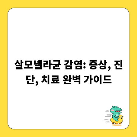 살모넬라균 감염: 증상, 진단, 치료 완벽 가이드