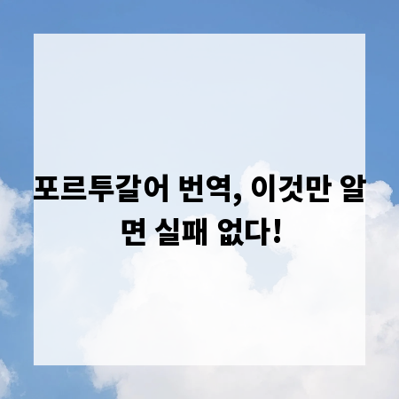 포르투갈어 번역, 이것만 알면 실패 없다!