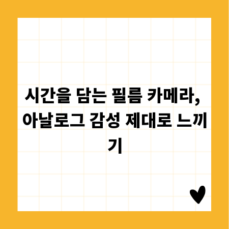 시간을 담는 필름 카메라, 아날로그 감성 제대로 느끼기