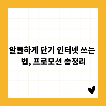 알뜰하게 단기 인터넷 쓰는 법, 프로모션 총정리