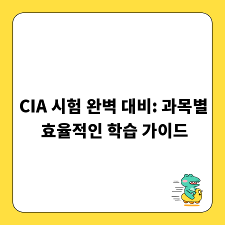 CIA 시험 완벽 대비: 과목별 효율적인 학습 가이드